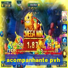 acompanhante pvh